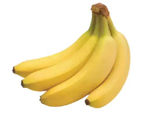 সাগর কলা