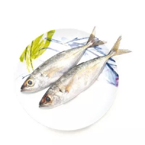 ফ্রেশ সি ফিশ চব ম্যাকেরেল ১ কেজি