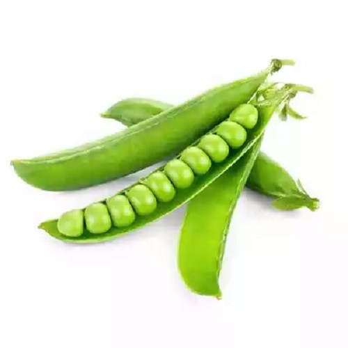 মটর শুটি