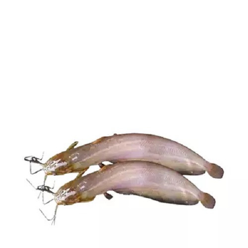 শিং মাছ কাটার পরে ৫০০ গ্রাম