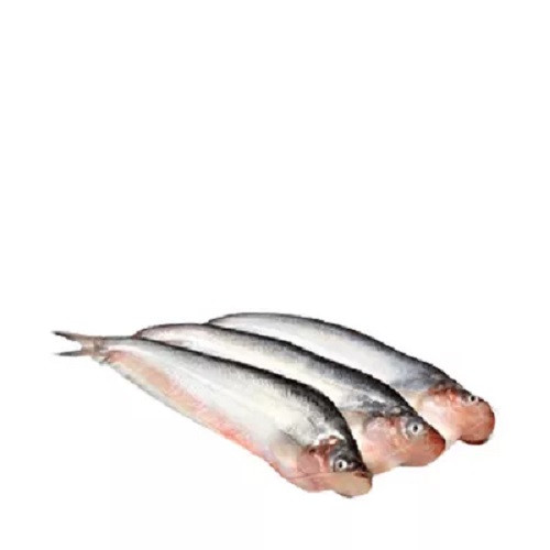 পাবদা মাছ ৫০০ গ্রাম