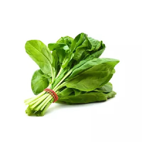 পালং শাক